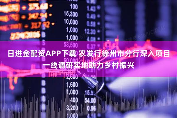 日进金配资APP下载 农发行徐州市分行深入项目一线调研实地助力乡村振兴