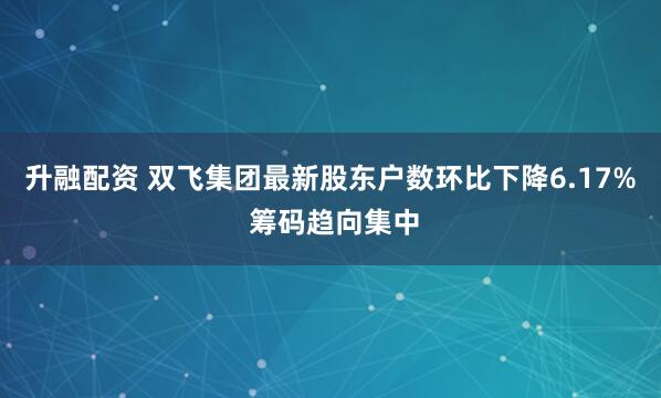 升融配资 双飞集团最新股东户数环比下降6.17% 筹码趋向集中
