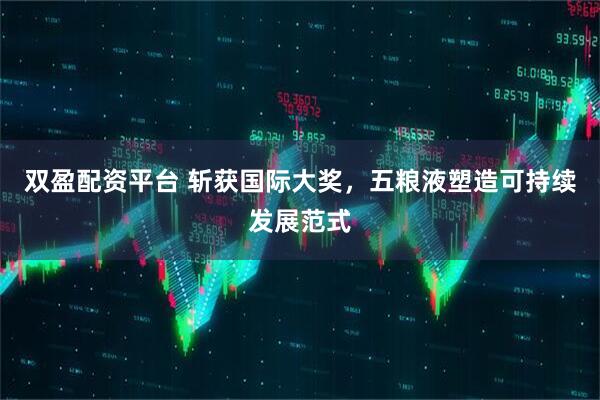 双盈配资平台 斩获国际大奖，五粮液塑造可持续发展范式