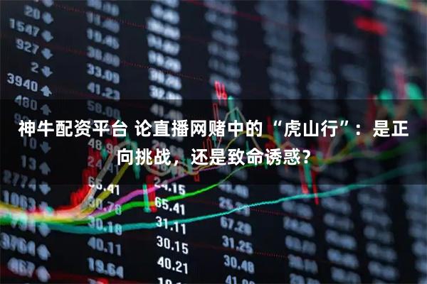 神牛配资平台 论直播网赌中的 “虎山行”：是正向挑战，还是致命诱惑？