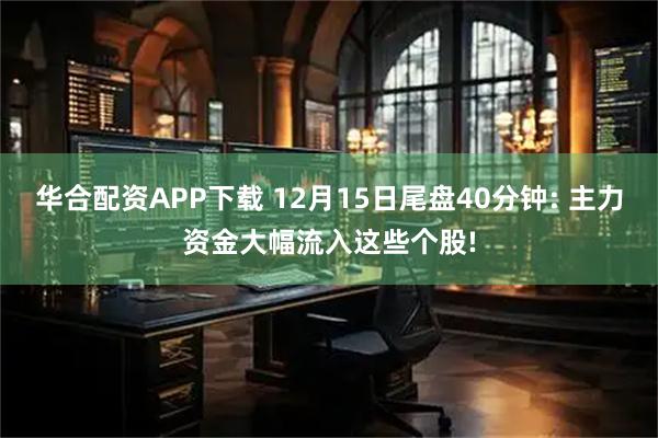 华合配资APP下载 12月15日尾盘40分钟: 主力资金大幅流入这些个股!