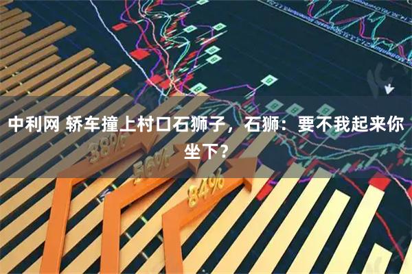 中利网 轿车撞上村口石狮子，石狮：要不我起来你坐下？