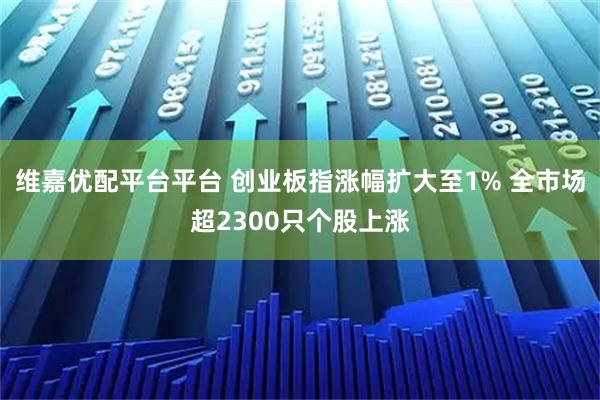 维嘉优配平台平台 创业板指涨幅扩大至1% 全市场超2300只个股上涨